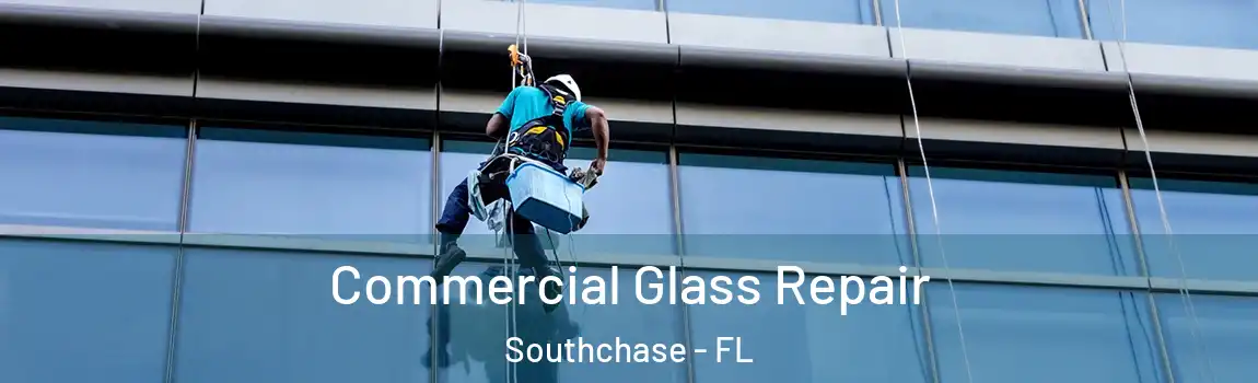  Commercial Glass Repair Southchase - FL