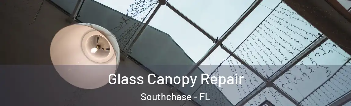  Glass Canopy Repair Southchase - FL