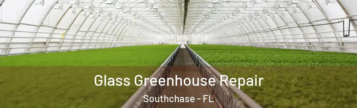  Glass Greenhouse Repair Southchase - FL