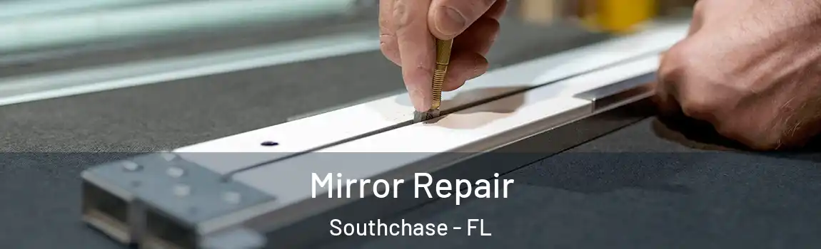  Mirror Repair Southchase - FL