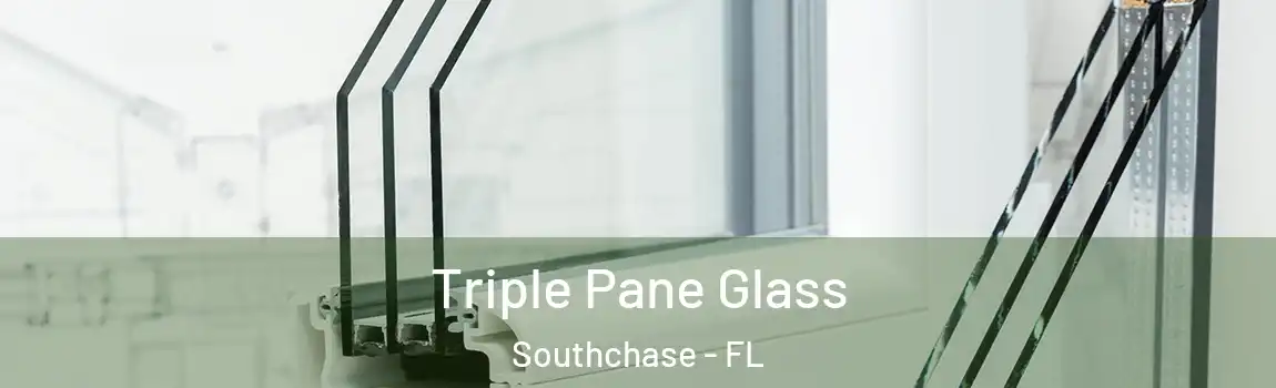  Triple Pane Glass Southchase - FL